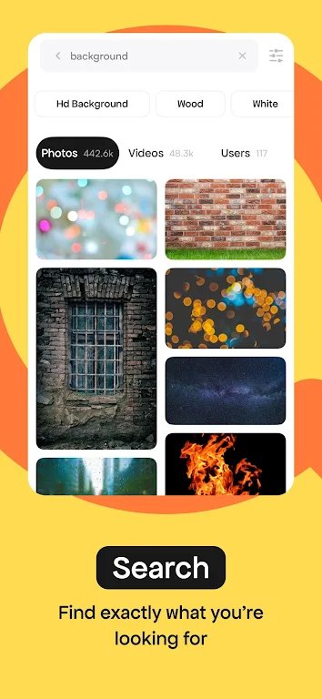 Pexels免费视频素材官网