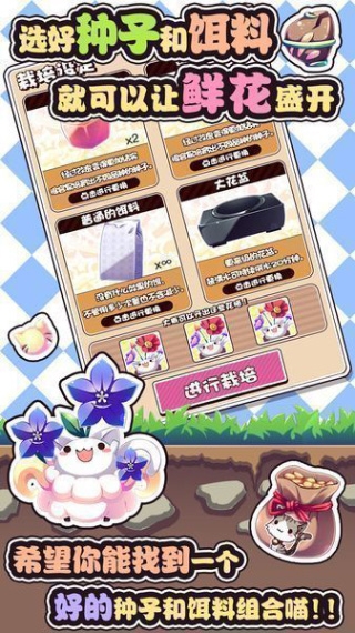 猫咪花盆下载app