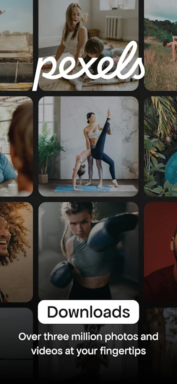 Pexels免费视频素材官网