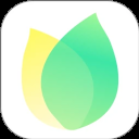 飞火动态壁纸下载