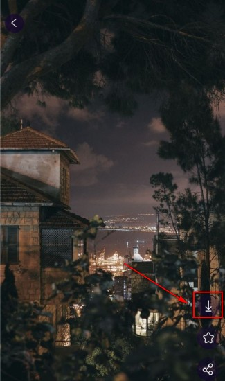 鲜柚壁纸安卓版