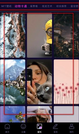 鲜柚壁纸安卓版
