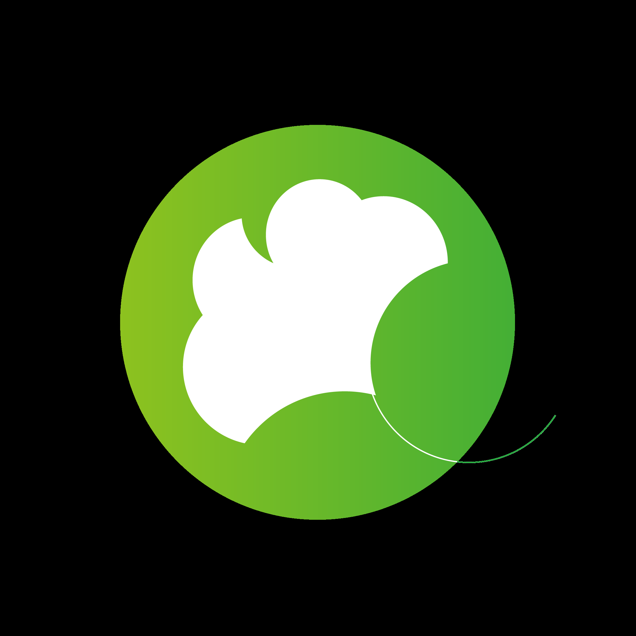 银杏浏览器下载