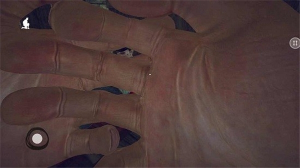 隔壁王爷爷游戏下载