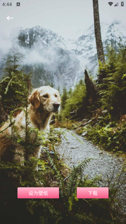 尚美壁纸下载安装手机版