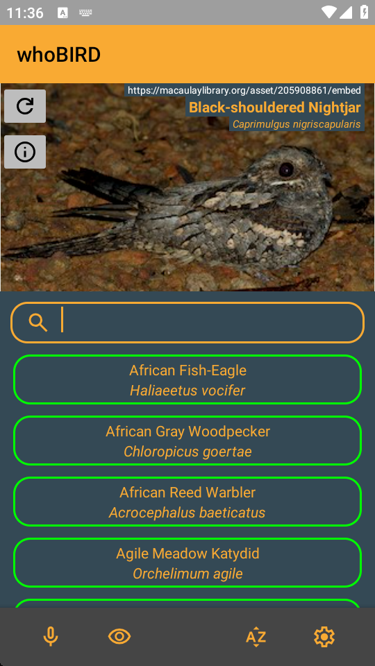 听声识鸟器官方版