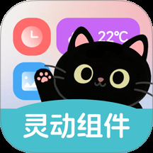 灵动皮肤小组件下载安装最新版