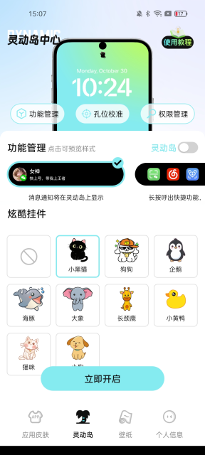 灵动皮肤小组件下载安装最新版