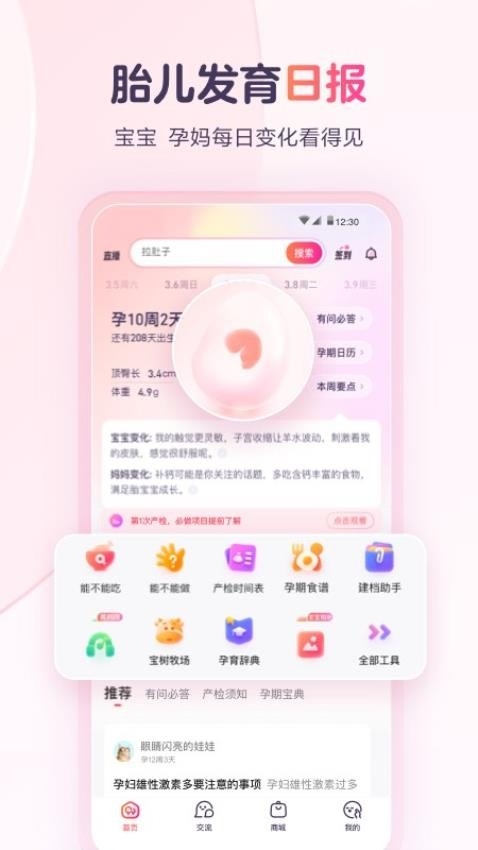 宝宝树孕育app 下载