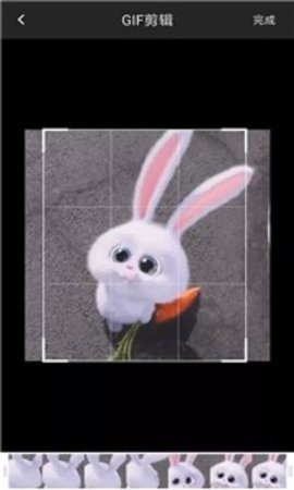 GIF制作器安卓版安卓版