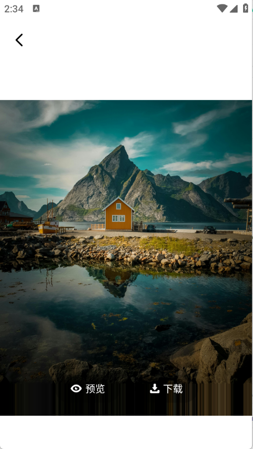 海豚壁纸下载安装最新版