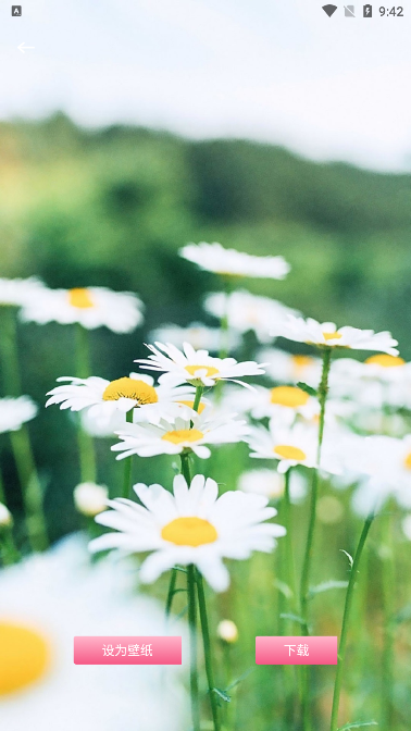 龙神壁纸下载安装最新版