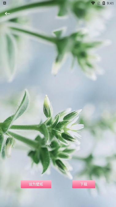 龙神壁纸下载安装最新版