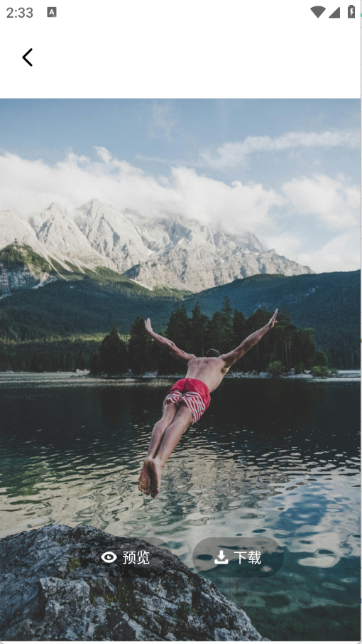 海豚壁纸下载安装最新版