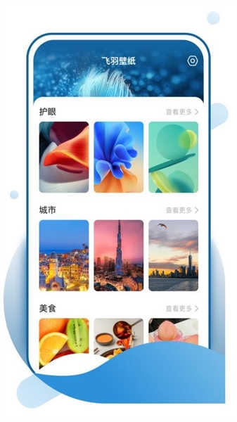 飞羽壁纸免费版