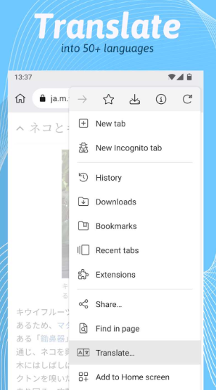 Kiwi浏览器官网版下载
