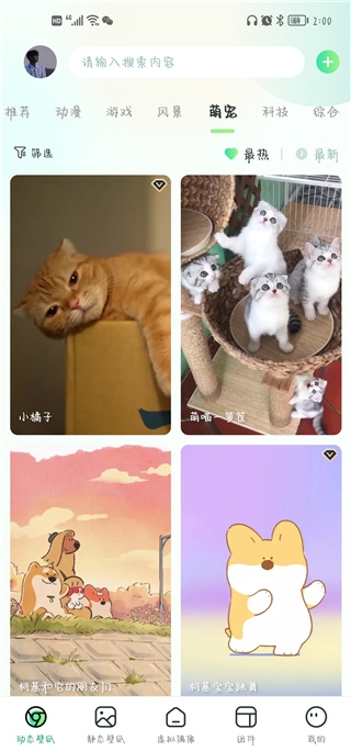 飞火动态壁纸下载官网版手机版