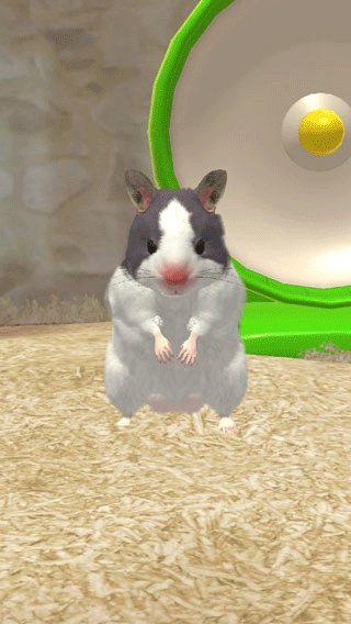 我的仓鼠下载正版