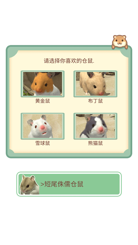 我的仓鼠下载正版