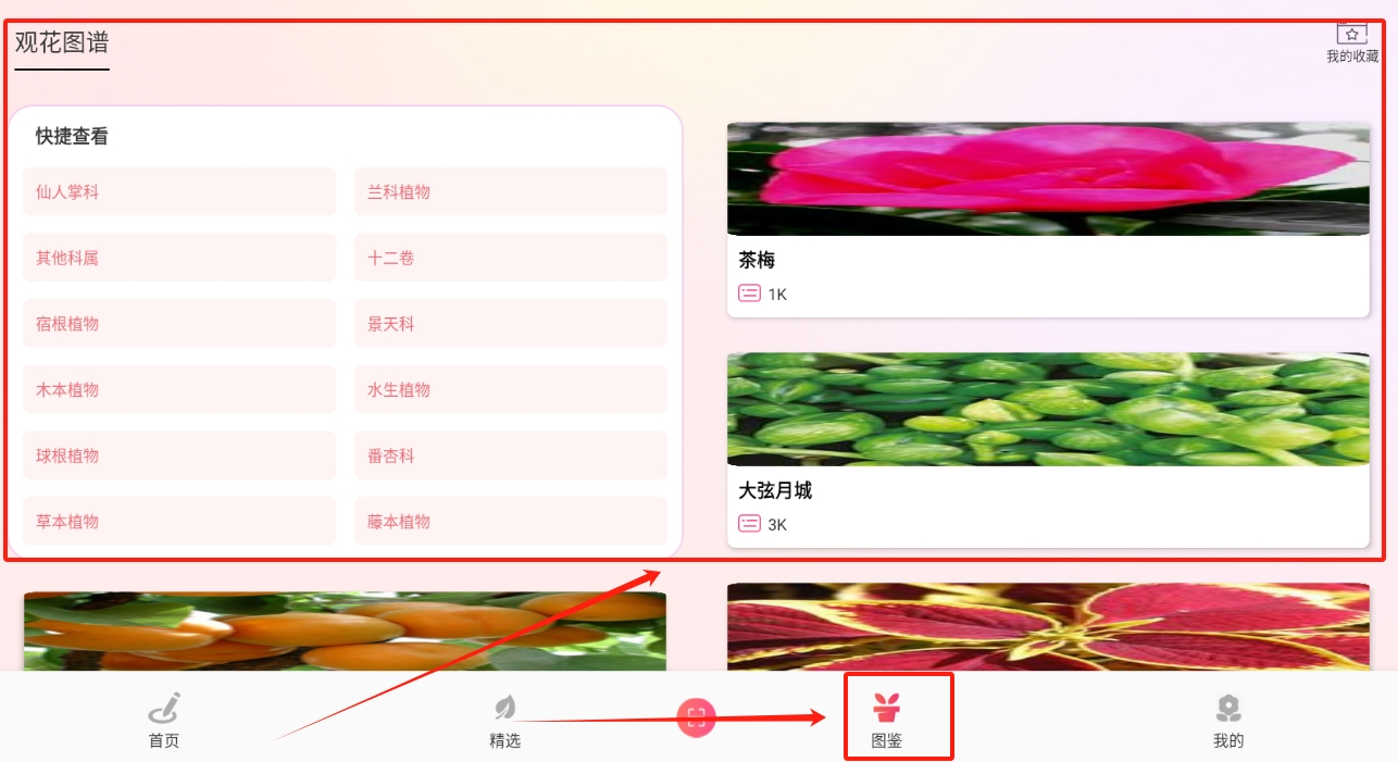 养花宝最新版下载