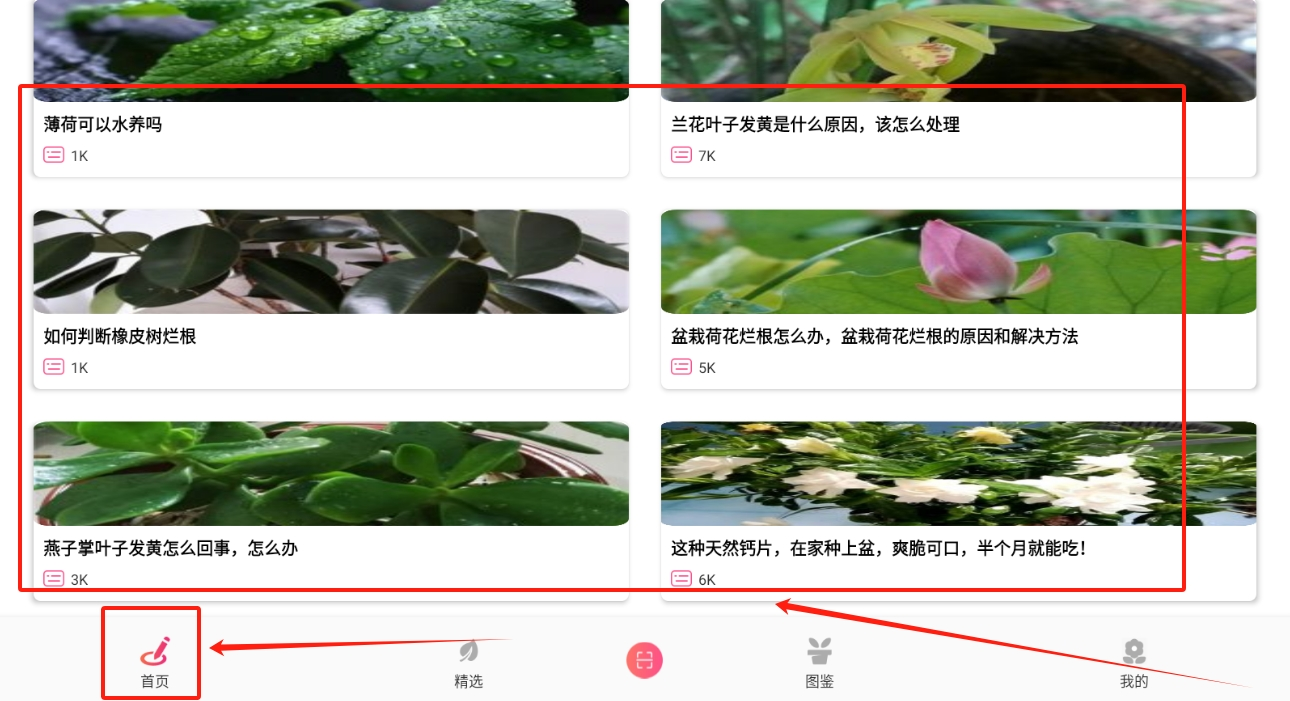 养花宝最新版下载