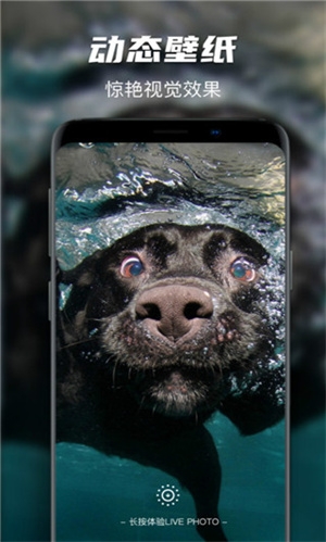 遥望壁纸app下载官网版