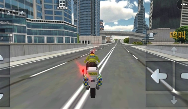 街头驾驶达人游戏