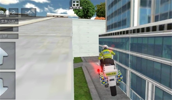 街头驾驶达人游戏