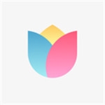 小米画报app下载最新版