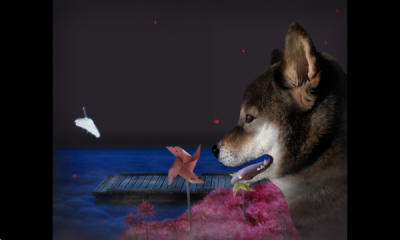 翌日波奇狗的历险记安卓版