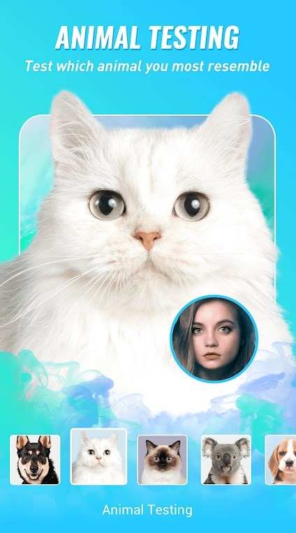 卡通相机下载免费版