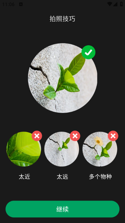 picturethis安卓版