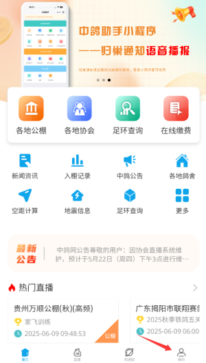 中鸽网免费版下载