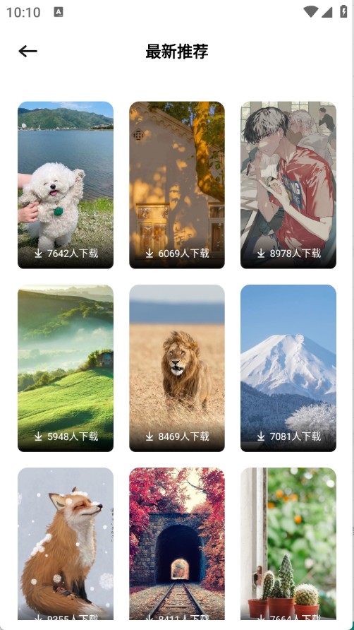 小粉圈壁纸下载