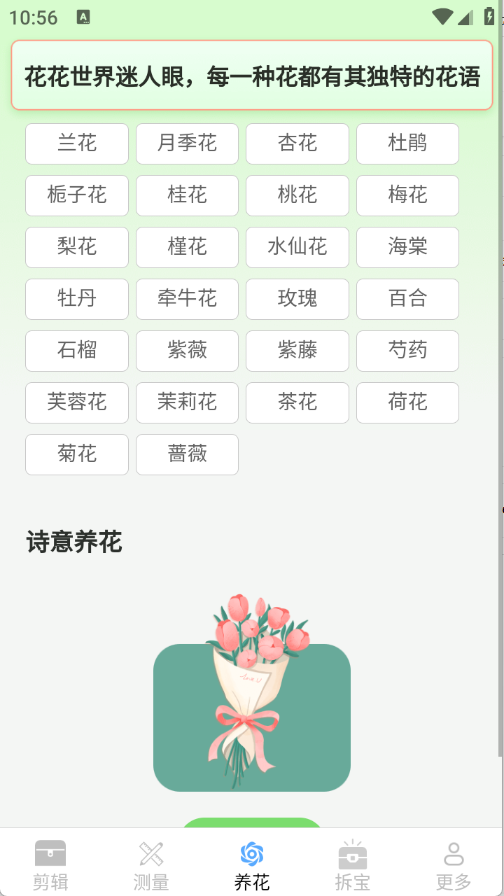 真能帮工具箱app下载