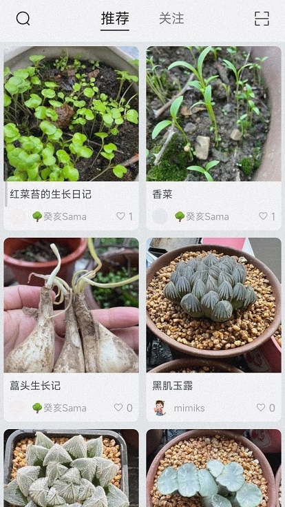 小植物手机版下载