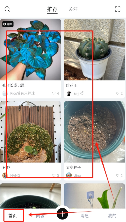 小植物手机版下载