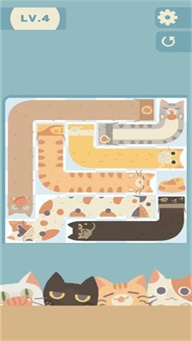 管道猫咪最新版下载