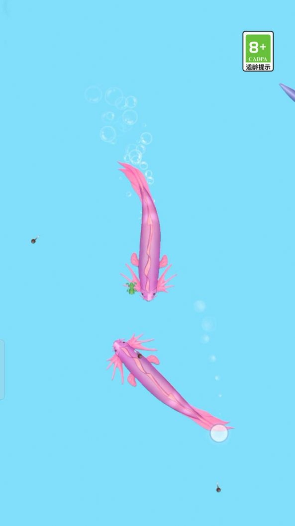 荷塘争霸折相思最新版