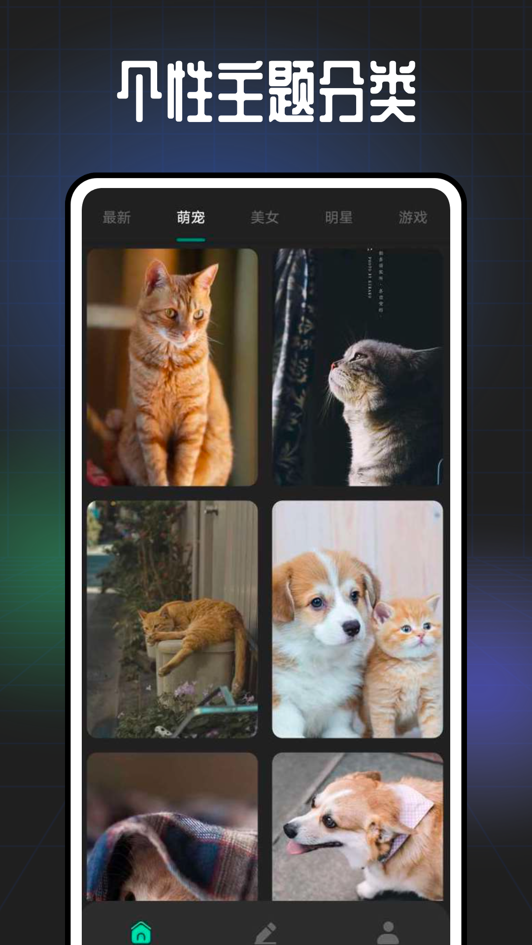 遥望壁纸app下载