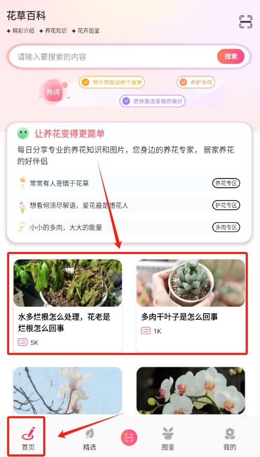 我的开心花园手机版下载