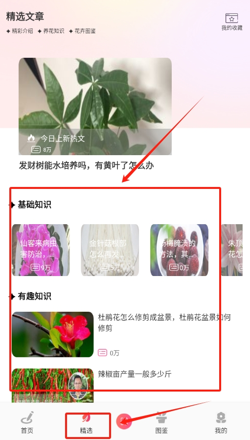 我的开心花园手机版下载