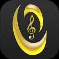 虫虫钢琴网app下载