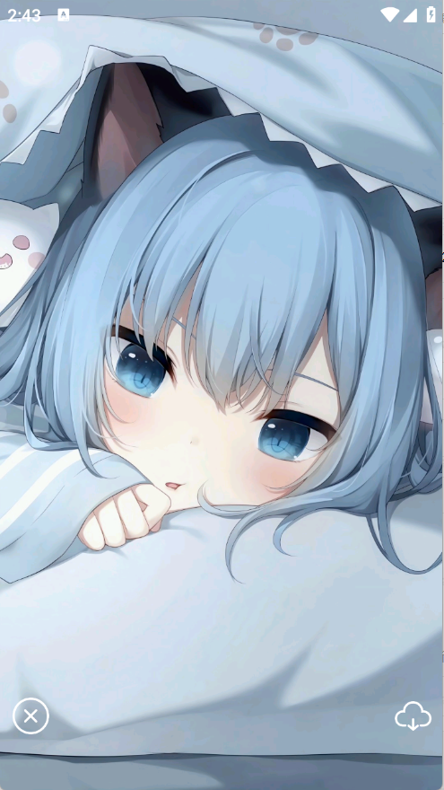 局王tk图库免费下载