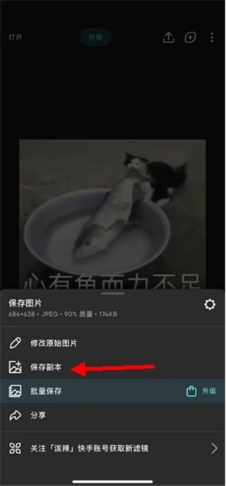 Polarr免费版下载