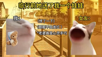 猫meme搞怪冒险最新版