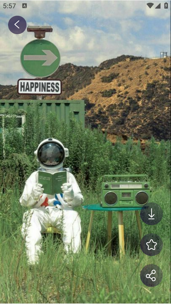 鲜柚壁纸安卓版下载