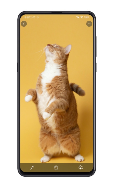 星塘图集app最新版