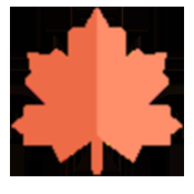 枫叶音乐盒下载安装最新版