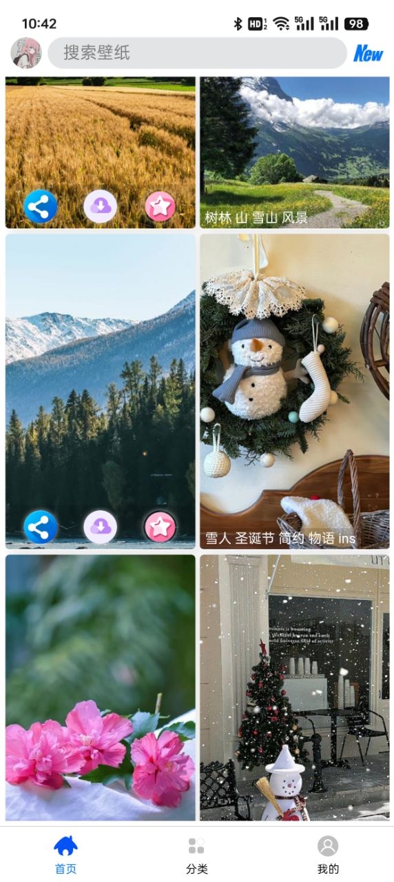 波奇壁纸免费下载安装最新版